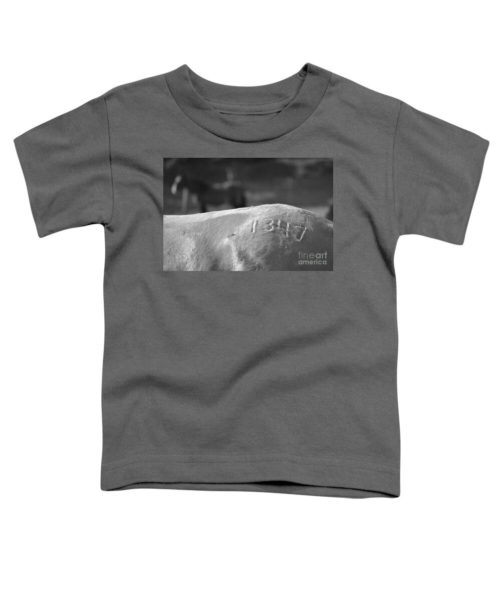 Rtf Ranch Toddler T-Shirt featuring the photograph 1347 Mustang Black and White by Heather Kirk