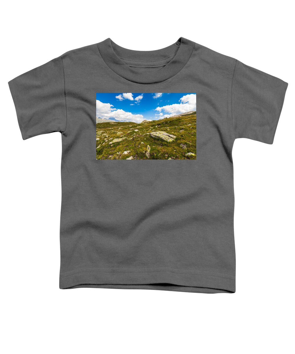 Bavarian Toddler T-Shirt featuring the photograph Swiss Mountains #14 by Raul Rodriguez