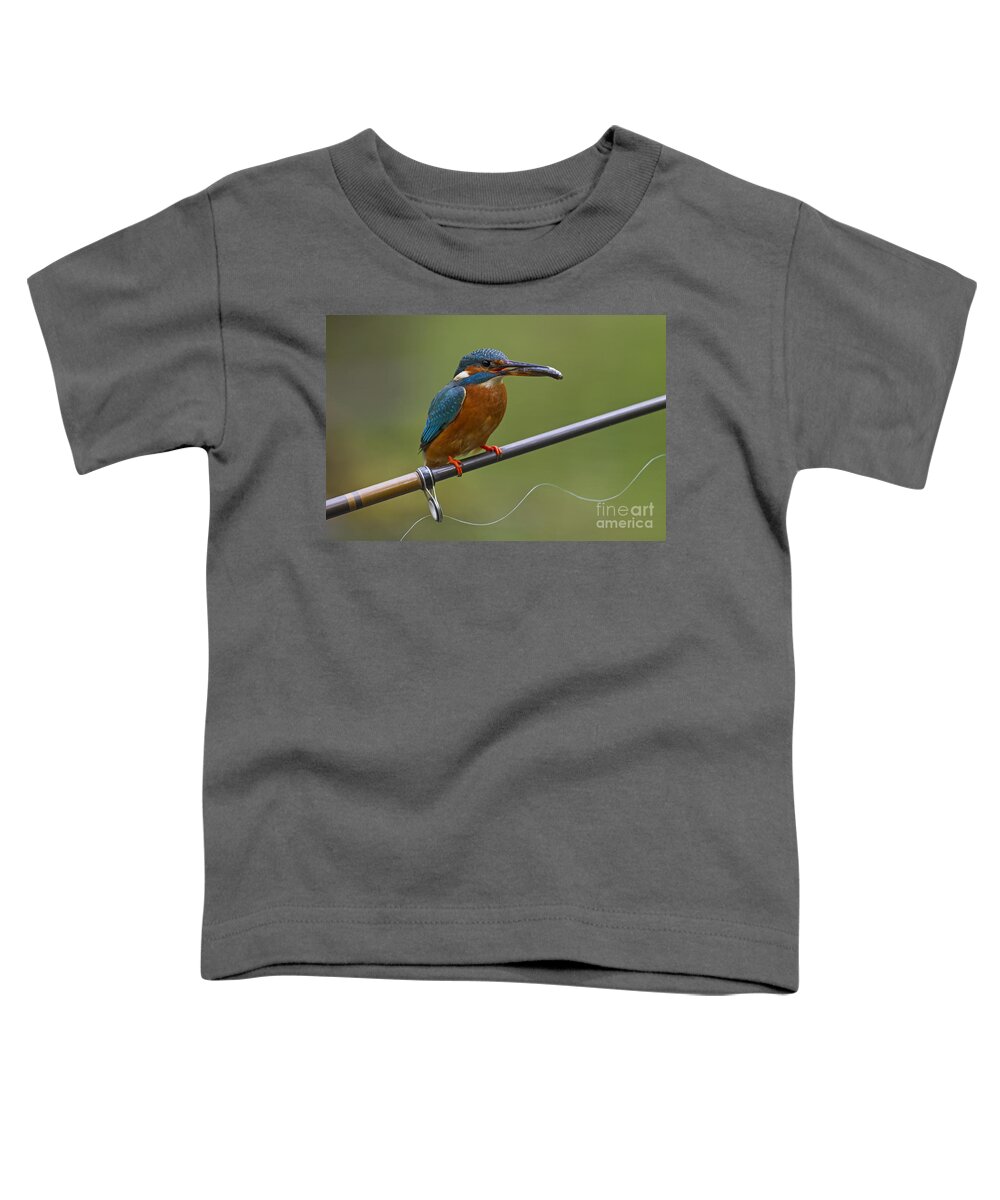 Common Kingfisher Toddler T-Shirt featuring the photograph 140915p058 by Arterra Picture Library