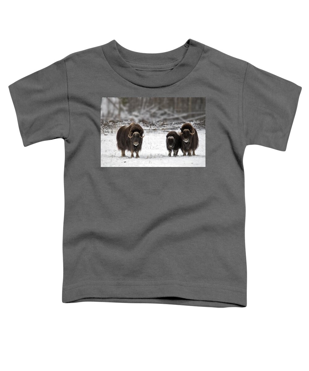 Nature Toddler T-Shirt featuring the photograph Muskox #17 by Mark Newman