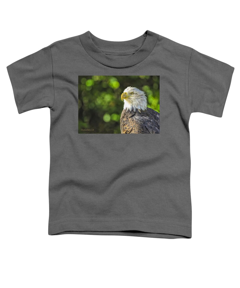 Eagle Toddler T-Shirt featuring the photograph American Bald Eagle #2 by LeeAnn McLaneGoetz McLaneGoetzStudioLLCcom