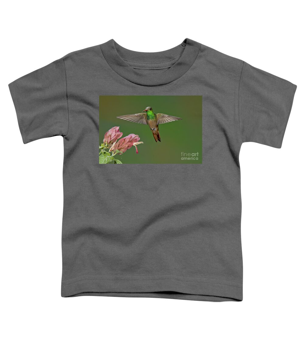 Bird Toddler T-Shirt featuring the photograph Buff-bellied Hummingbird #3 by Anthony Mercieca