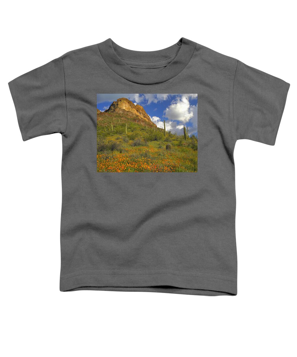 00176648 Toddler T-Shirt featuring the photograph California Poppy And Saguaro #2 by Tim Fitzharris