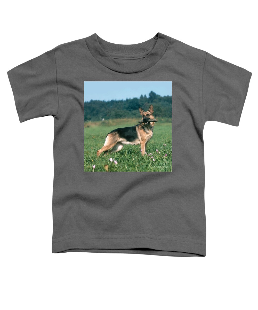 Animal Toddler T-Shirt featuring the photograph German Shepherd #2 by Hans Reinhard