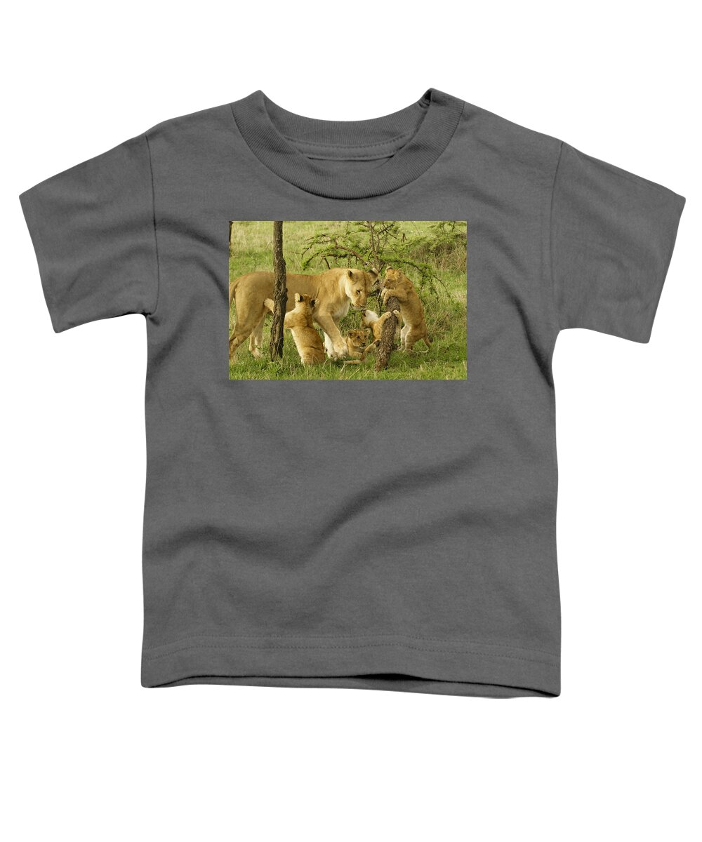 Lion Toddler T-Shirt featuring the photograph Playing with Mom #2 by Michele Burgess