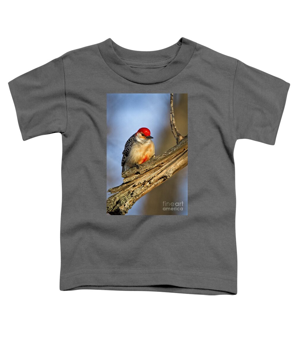 Nature Toddler T-Shirt featuring the photograph Red-bellied Woodpecker #2 by Ronald Lutz