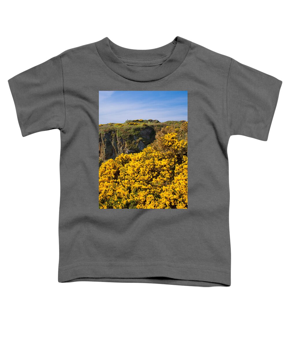 Birth Place Toddler T-Shirt featuring the photograph St Non's Bay West Wales #2 by Mark Llewellyn