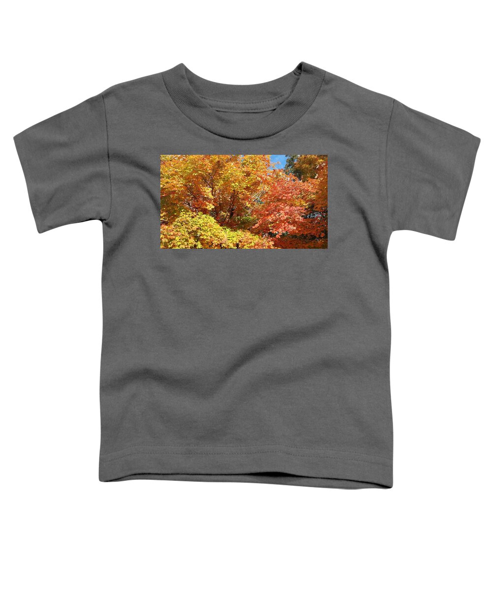 Fall Toddler T-Shirt featuring the photograph Fall Explosion of Color #22 by Kenny Glover
