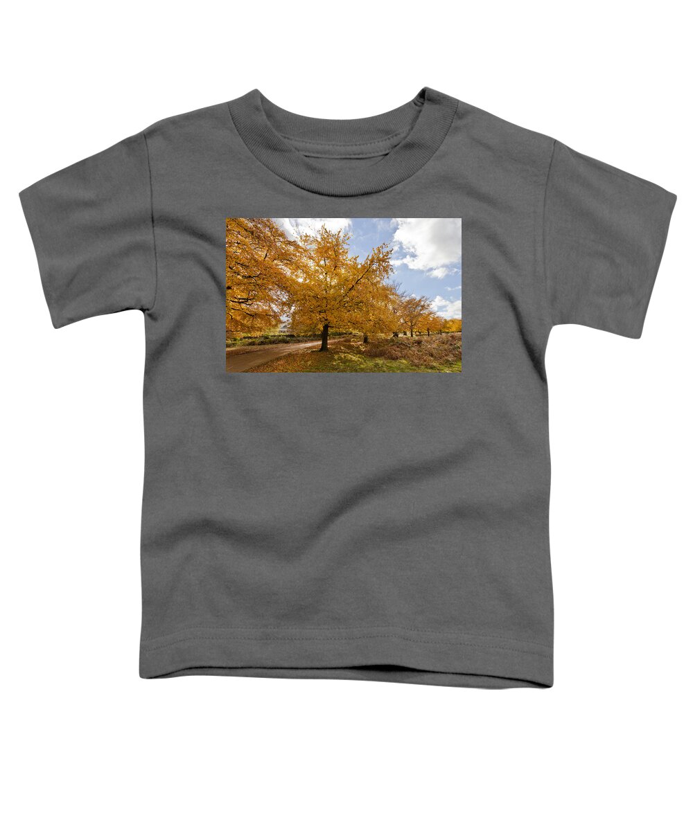 Richmond Park Toddler T-Shirt featuring the photograph Autumn Leaves #3 by Maj Seda