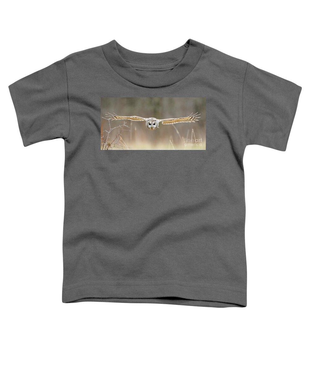Barred Owl Toddler T-Shirt featuring the photograph Barred Owl In Flight #5 by Scott Linstead