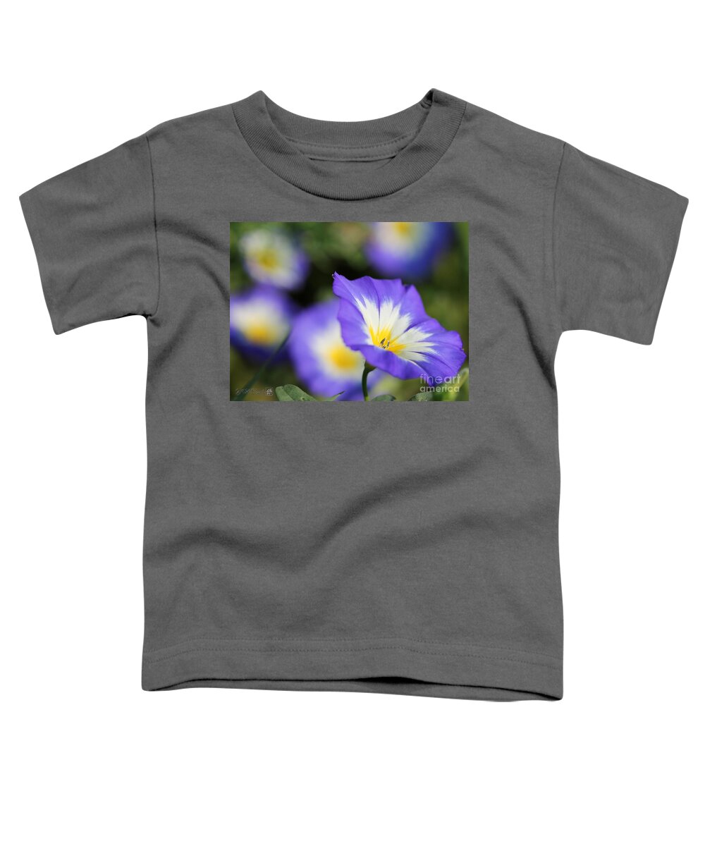 Mccombie Toddler T-Shirt featuring the photograph Morning Glory named Blue Ensign #4 by J McCombie