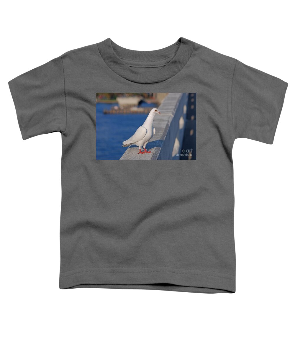 White Dove Toddler T-Shirt featuring the photograph 21- White Dove by Joseph Keane