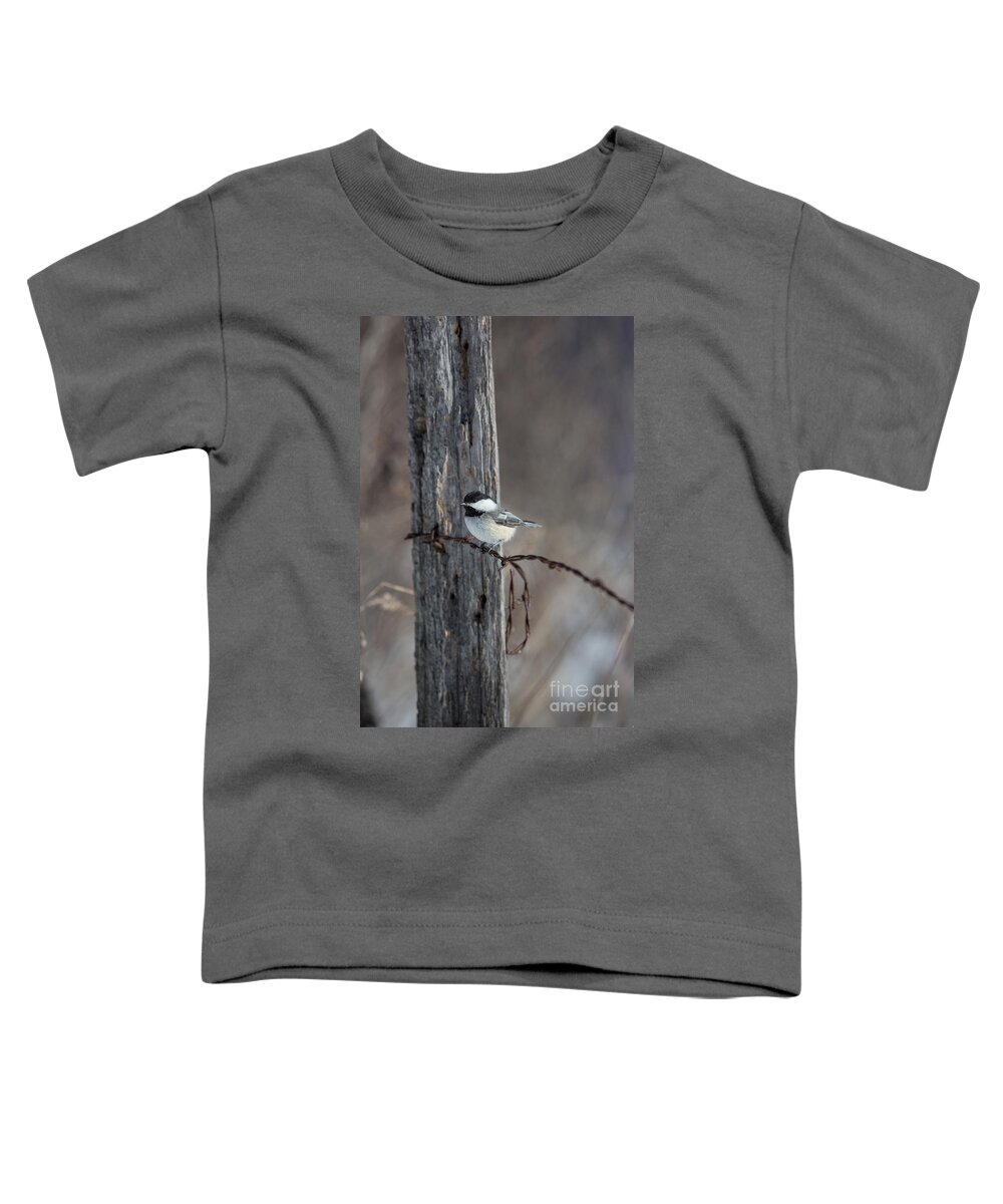 North America Toddler T-Shirt featuring the photograph Black-capped Chickadee Poecile #5 by Linda Freshwaters Arndt