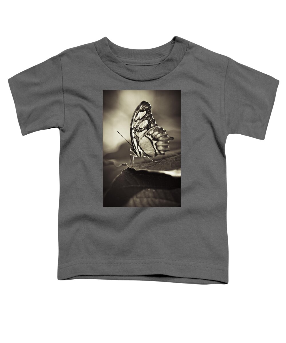 Butterfly Toddler T-Shirt featuring the photograph Butterfly Brown Tone #5 by Bradley R Youngberg