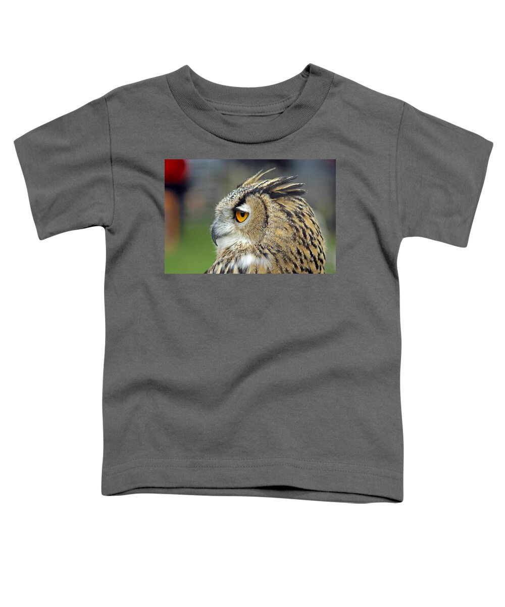 Eurasian Eagle Owl Toddler T-Shirt featuring the photograph European Eagle Owl #5 by Tony Murtagh
