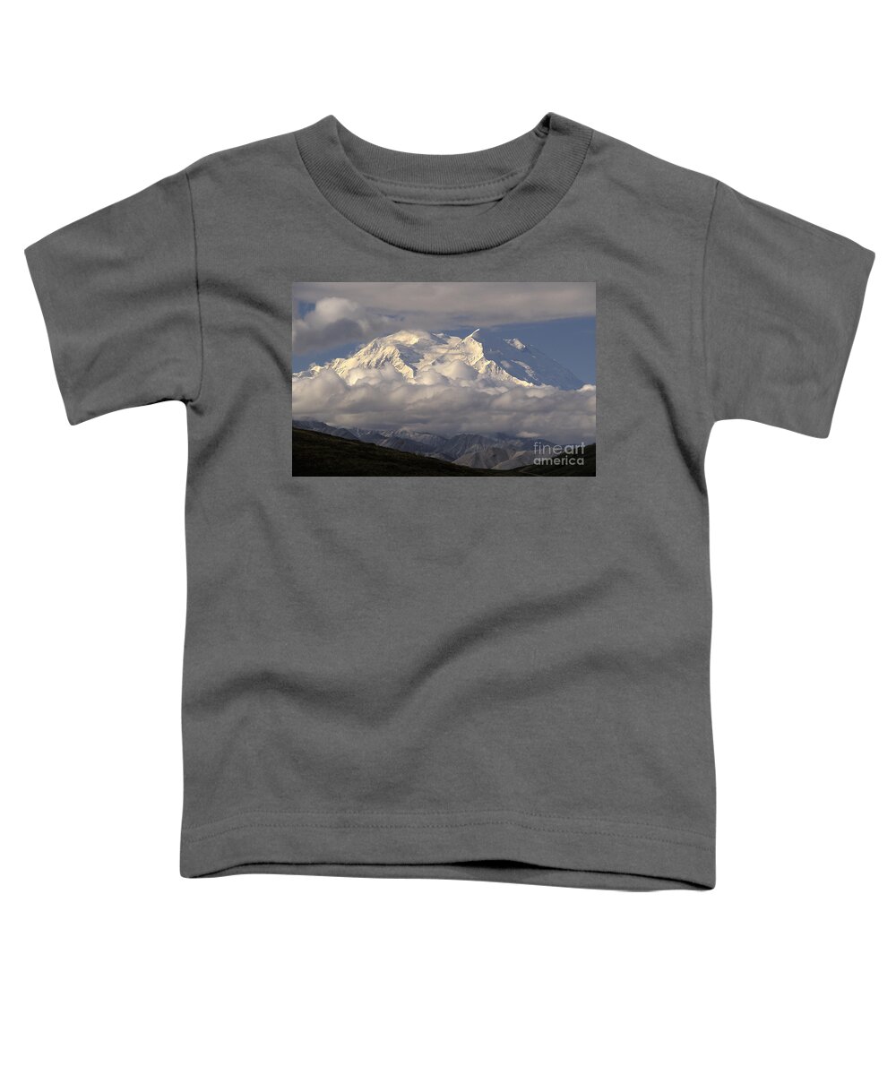 Mountain Toddler T-Shirt featuring the photograph Mount Mckinley #5 by Ron Sanford