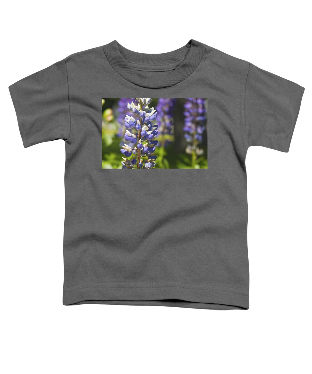 Lupine Toddler T-Shirt featuring the photograph Purple Lupine Flowers #5 by Keith Webber Jr