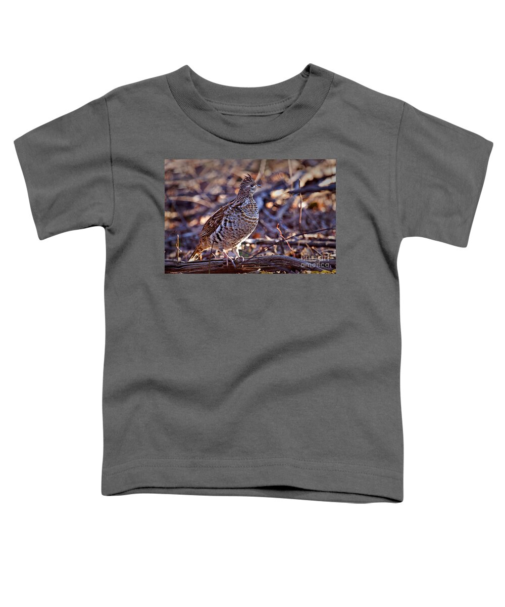 Bedford Toddler T-Shirt featuring the photograph Ruffed Grouse by Ronald Lutz