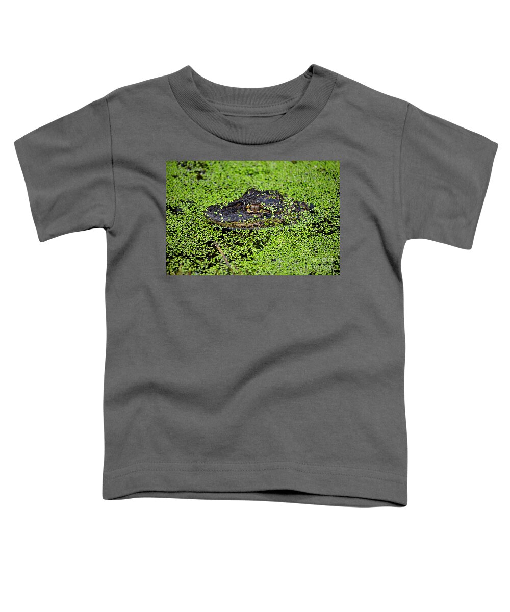 Alligator Hatchling Toddler T-Shirt featuring the photograph 6- Alligator Hatchling by Joseph Keane
