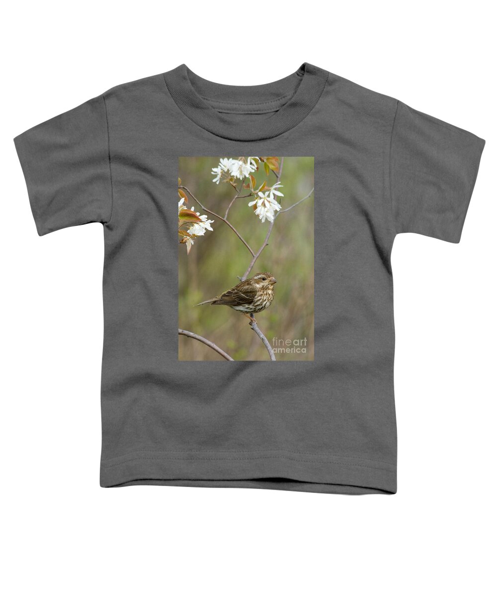 Bird Toddler T-Shirt featuring the photograph Purple Finch #6 by Linda Freshwaters Arndt
