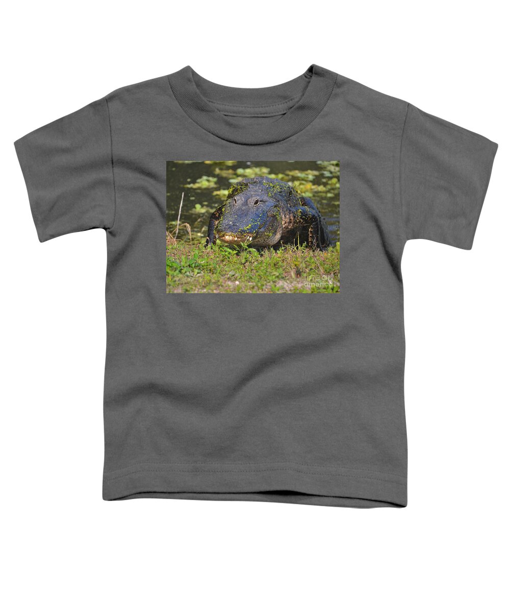 Alligators Toddler T-Shirt featuring the photograph 7- Alligator by Joseph Keane