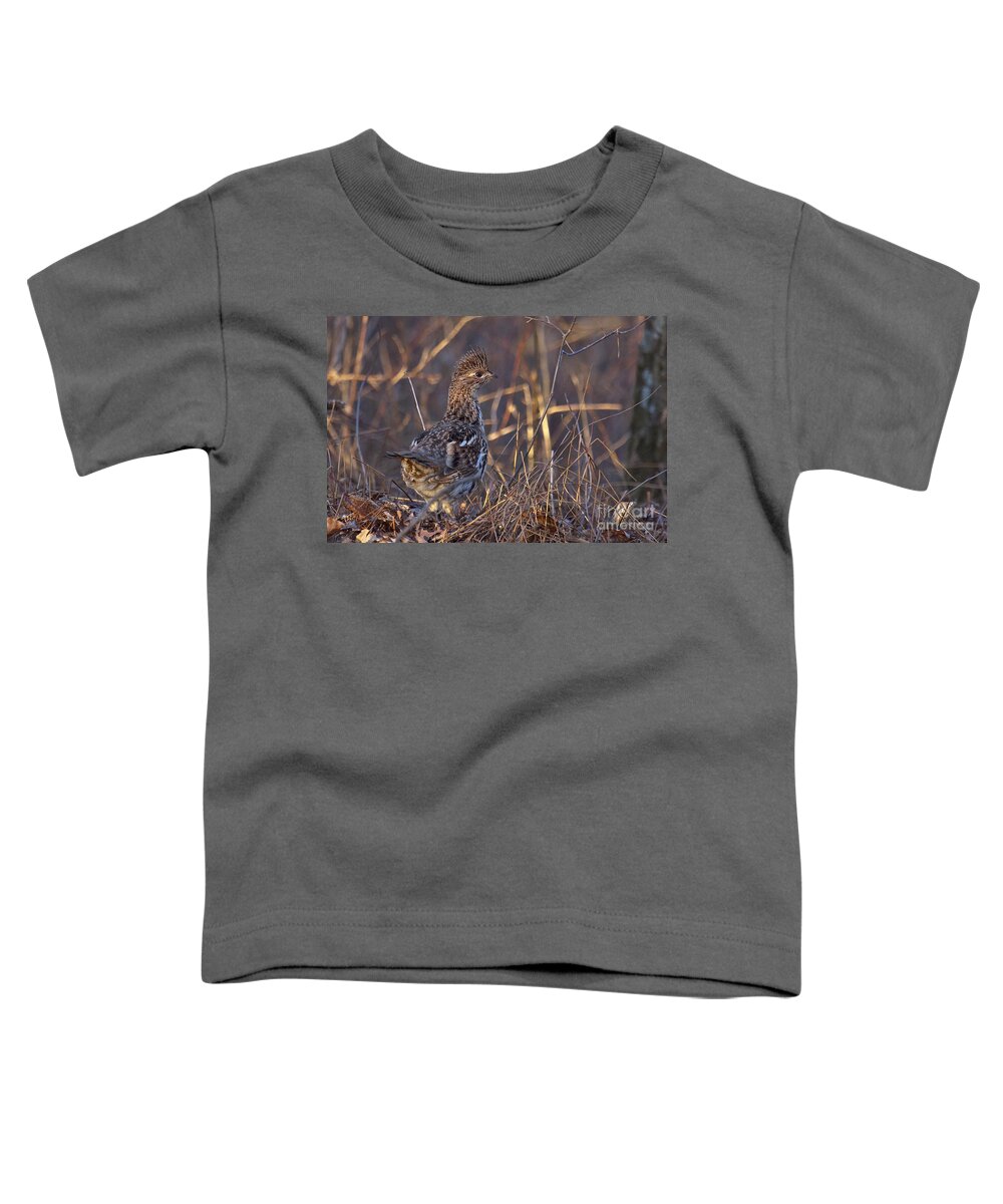 Bedford Toddler T-Shirt featuring the photograph Ruffed Grouse #7 by Ronald Lutz
