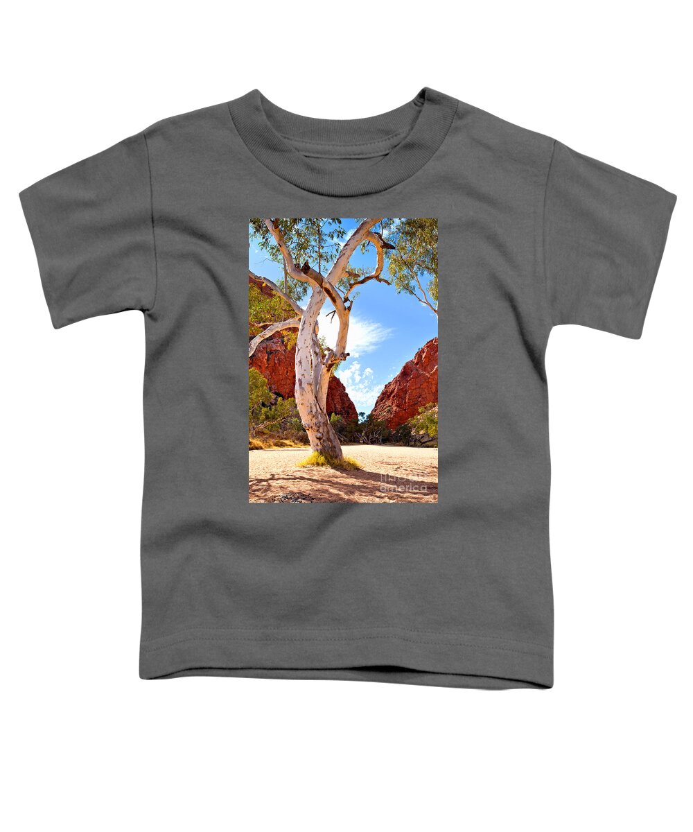 Simpsons Gap Central Australia Landscape Outback Water Hole West Mcdonnell Ranges Northern Territory Australian Landscapes Ghost Gum Trees Toddler T-Shirt featuring the photograph Simpsons Gap #7 by Bill Robinson