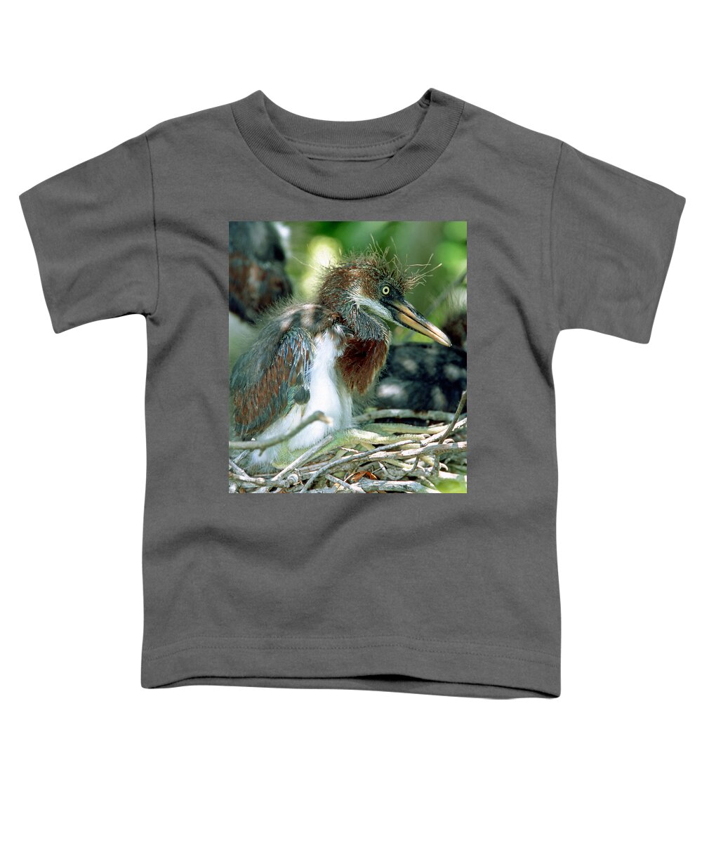 Animal Toddler T-Shirt featuring the photograph Tricolored Heron Nestlings #9 by Millard H. Sharp