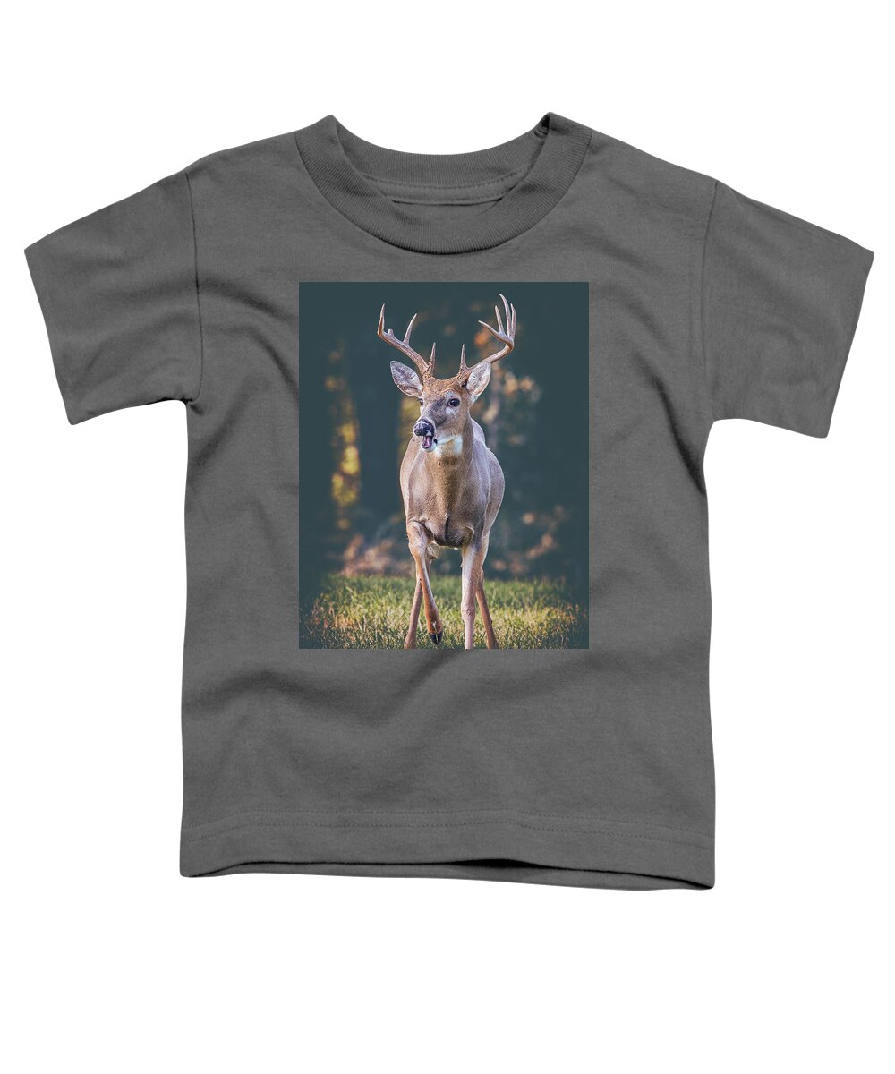 Buck Toddler T-Shirt featuring the photograph A Buck From The Shadows by Bill and Linda Tiepelman