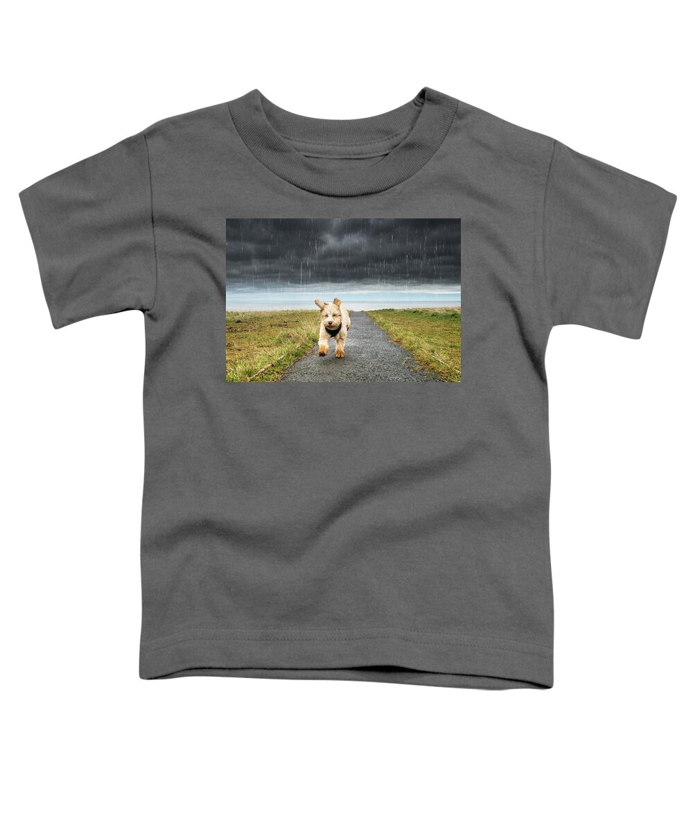 Running Toddler T-Shirt featuring the photograph A Cockapoo Running Up A Path by John Short