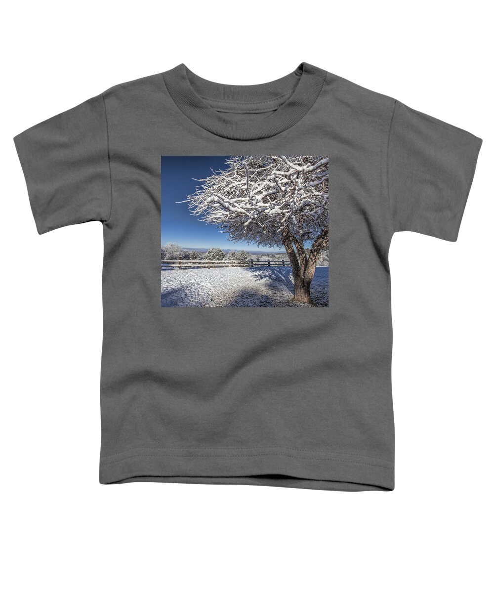 Snow Toddler T-Shirt featuring the photograph A Crisp Winter Day by Diana Powell