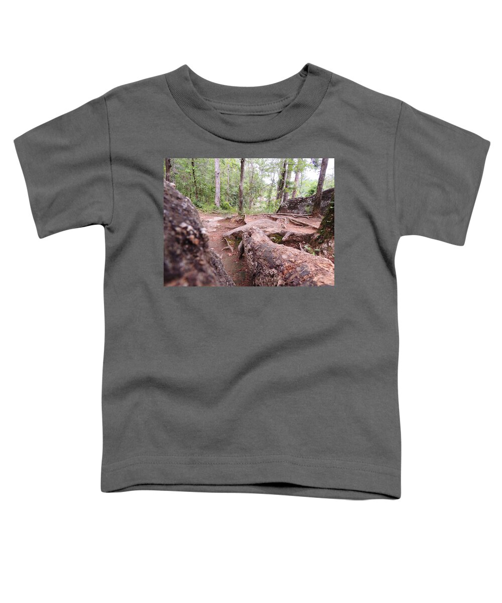 Georgia Toddler T-Shirt featuring the photograph A new view from the woods by Aaron Martens
