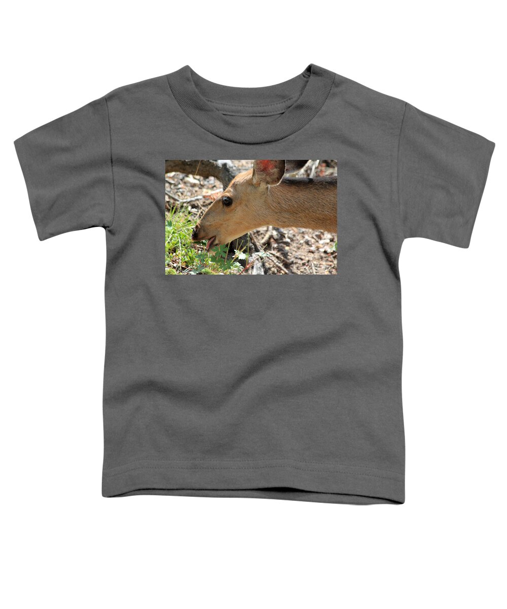 Deer Toddler T-Shirt featuring the photograph A Nibble Away by Shane Bechler