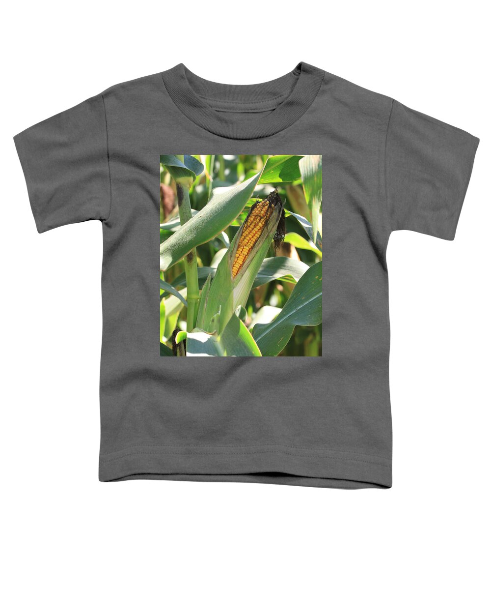 Corn Toddler T-Shirt featuring the photograph A Peek at the Kernals of Gold by J Laughlin