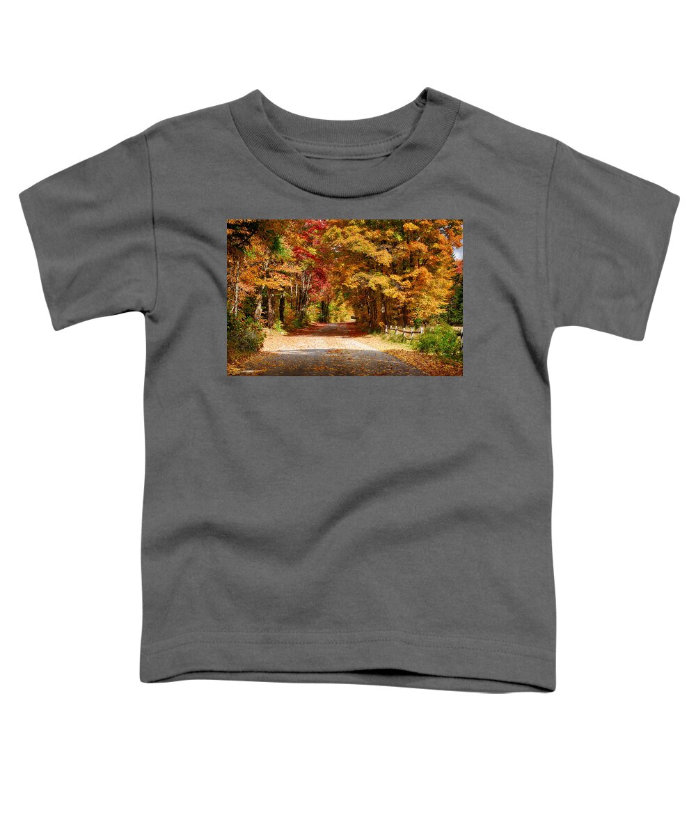 Vermont Fall Colors Toddler T-Shirt featuring the photograph A quiet back road stroll by Jeff Folger
