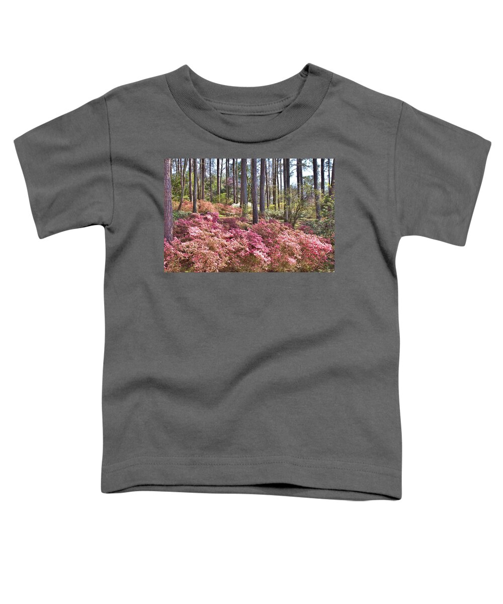 8211 Toddler T-Shirt featuring the photograph A Quiet Spot in the Woods by Gordon Elwell