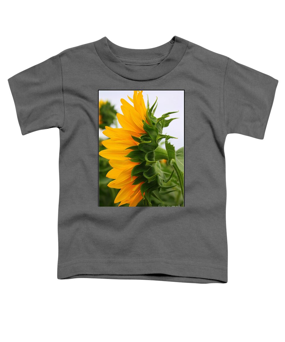 Sunflowerfield Toddler T-Shirt featuring the photograph A Touch of Shyness by Dora Sofia Caputo