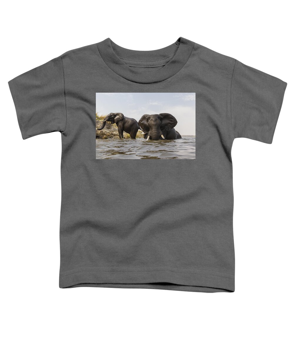 Vincent Grafhorst Toddler T-Shirt featuring the photograph African Elephants In The Chobe River by Vincent Grafhorst