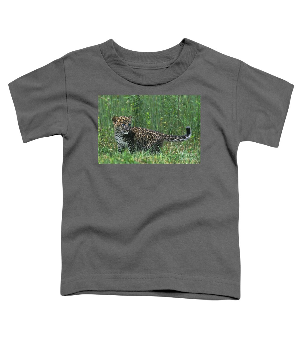 Africa Toddler T-Shirt featuring the photograph African Leopard Cub in Tall Grass Endangered Species by Dave Welling