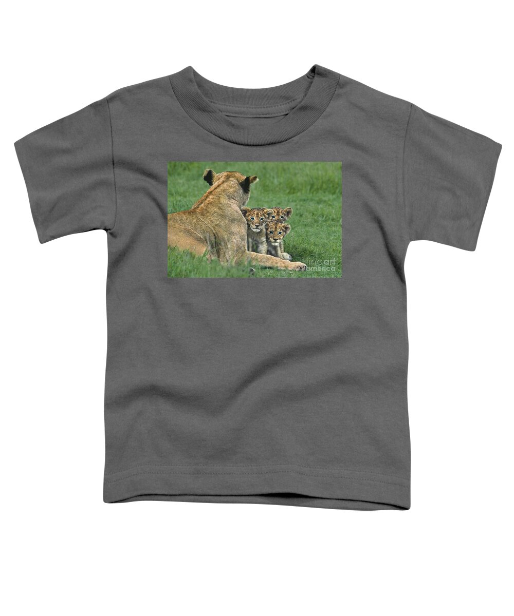 Africa Toddler T-Shirt featuring the photograph African Lion Cubs Study the Photographer Tanzania by Dave Welling
