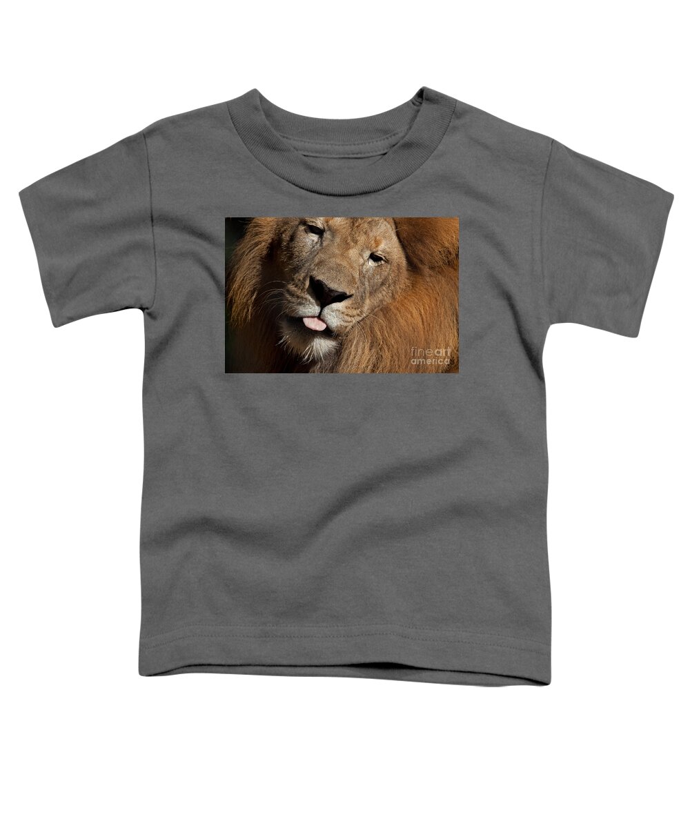 Lion Toddler T-Shirt featuring the photograph African Lion by Meg Rousher