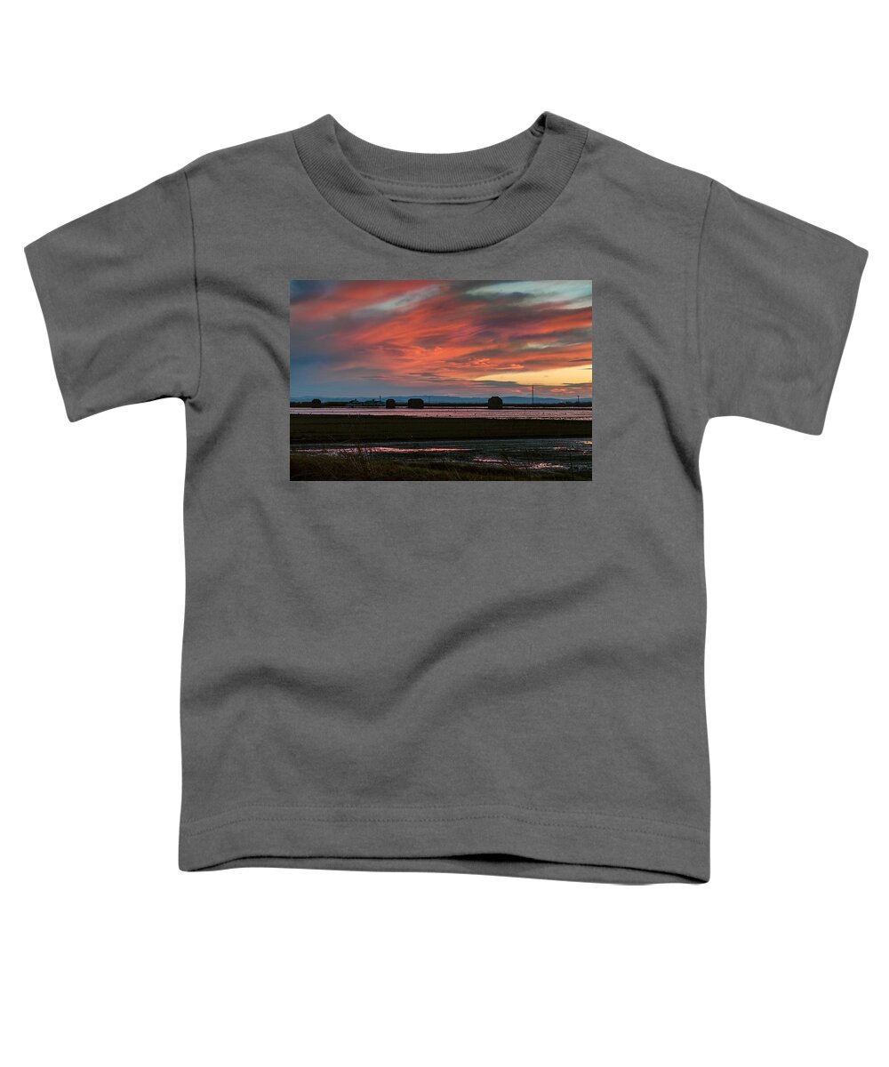 Lagoon Toddler T-Shirt featuring the photograph After the Harvest. Albufera Lagoon by Juan Carlos Ferro Duque