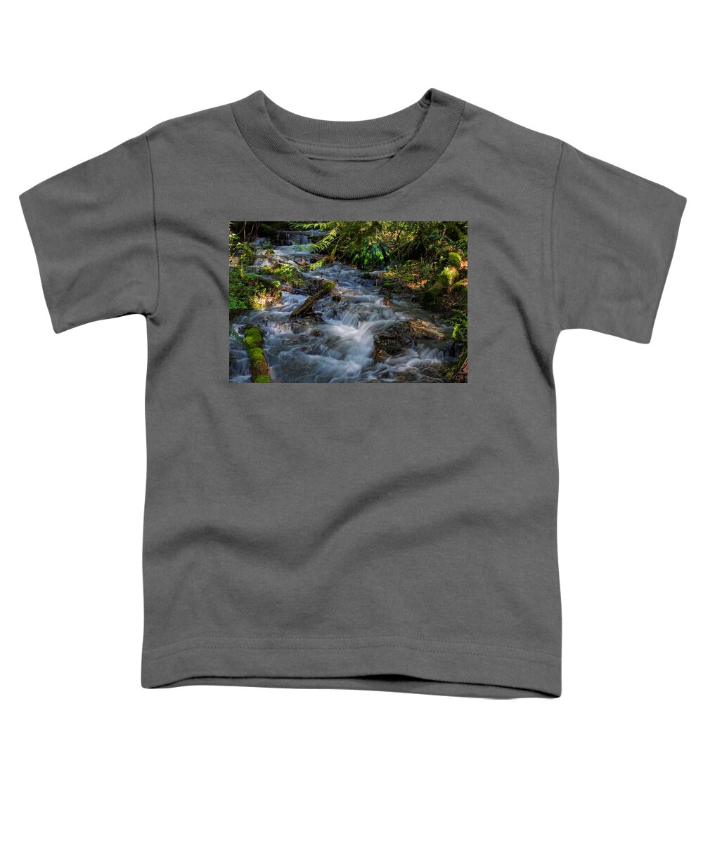 Afternoon Refreshment Toddler T-Shirt featuring the photograph Afternoon Refreshment - Waterfall Art by Jordan Blackstone