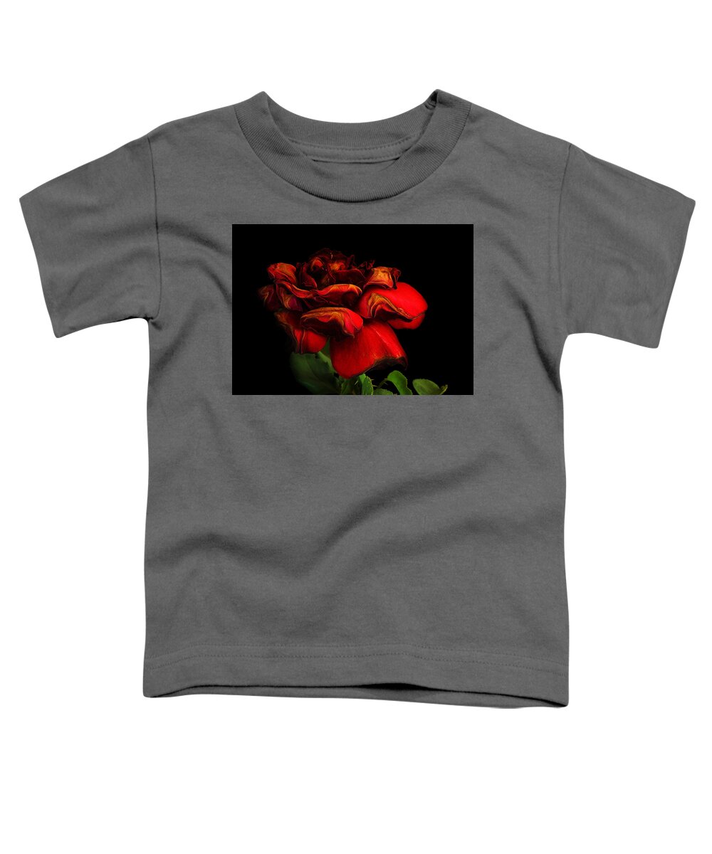 Rose Toddler T-Shirt featuring the photograph Ageing Beauty by Robert Woodward