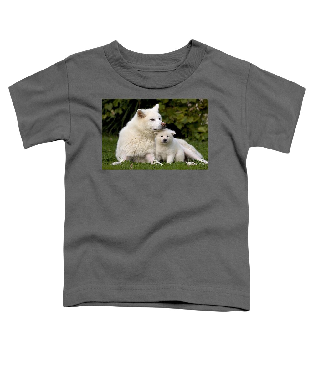 Dog Toddler T-Shirt featuring the photograph Akita Inu Dog And Puppy by Jean-Michel Labat