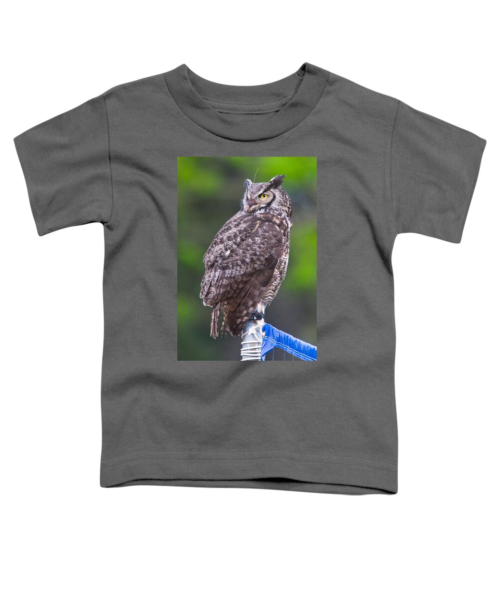 Wildlife Toddler T-Shirt featuring the digital art Alaskan Owl by National Park Service