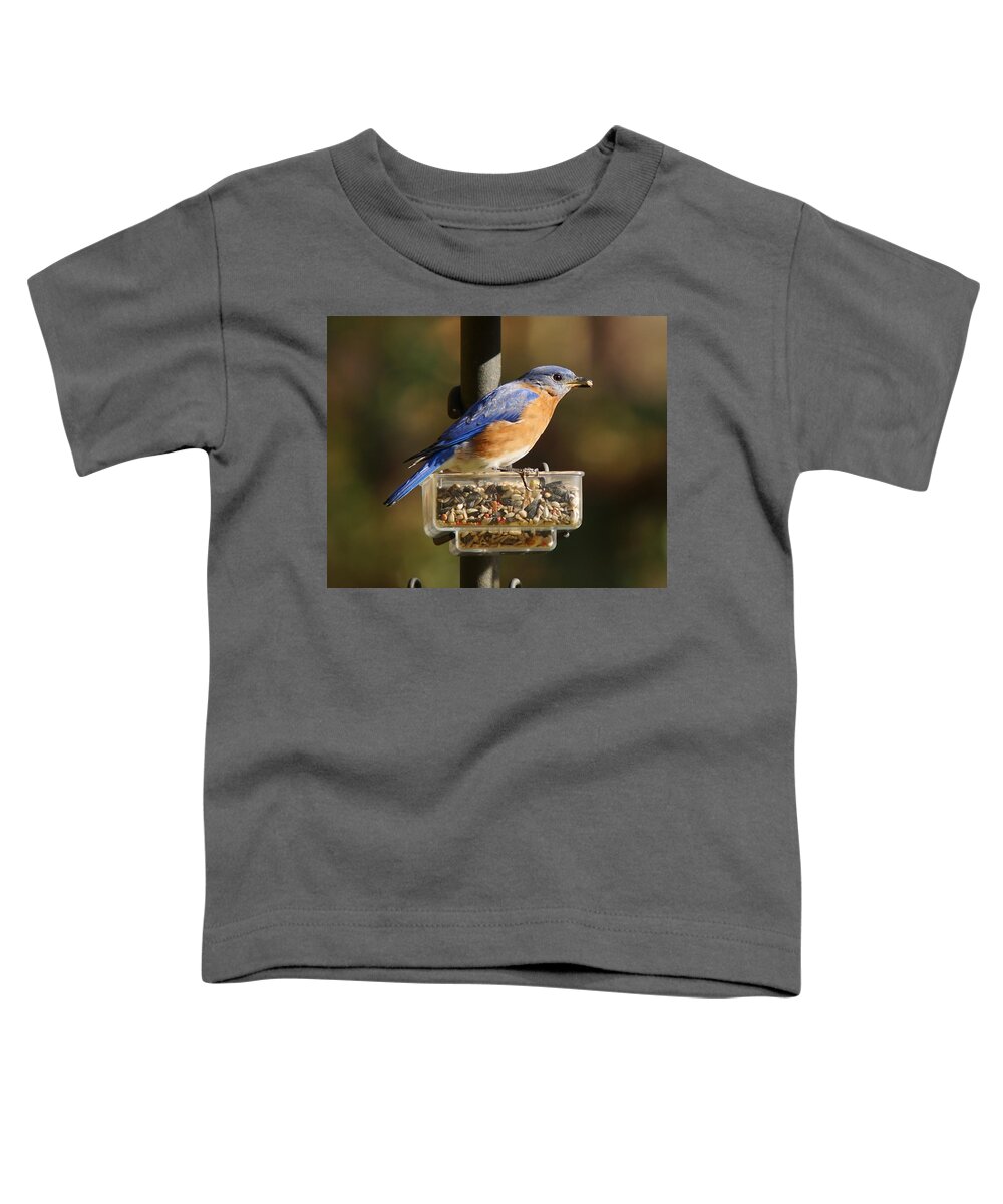 Bluebird Toddler T-Shirt featuring the photograph All You Can Eat by Robert L Jackson