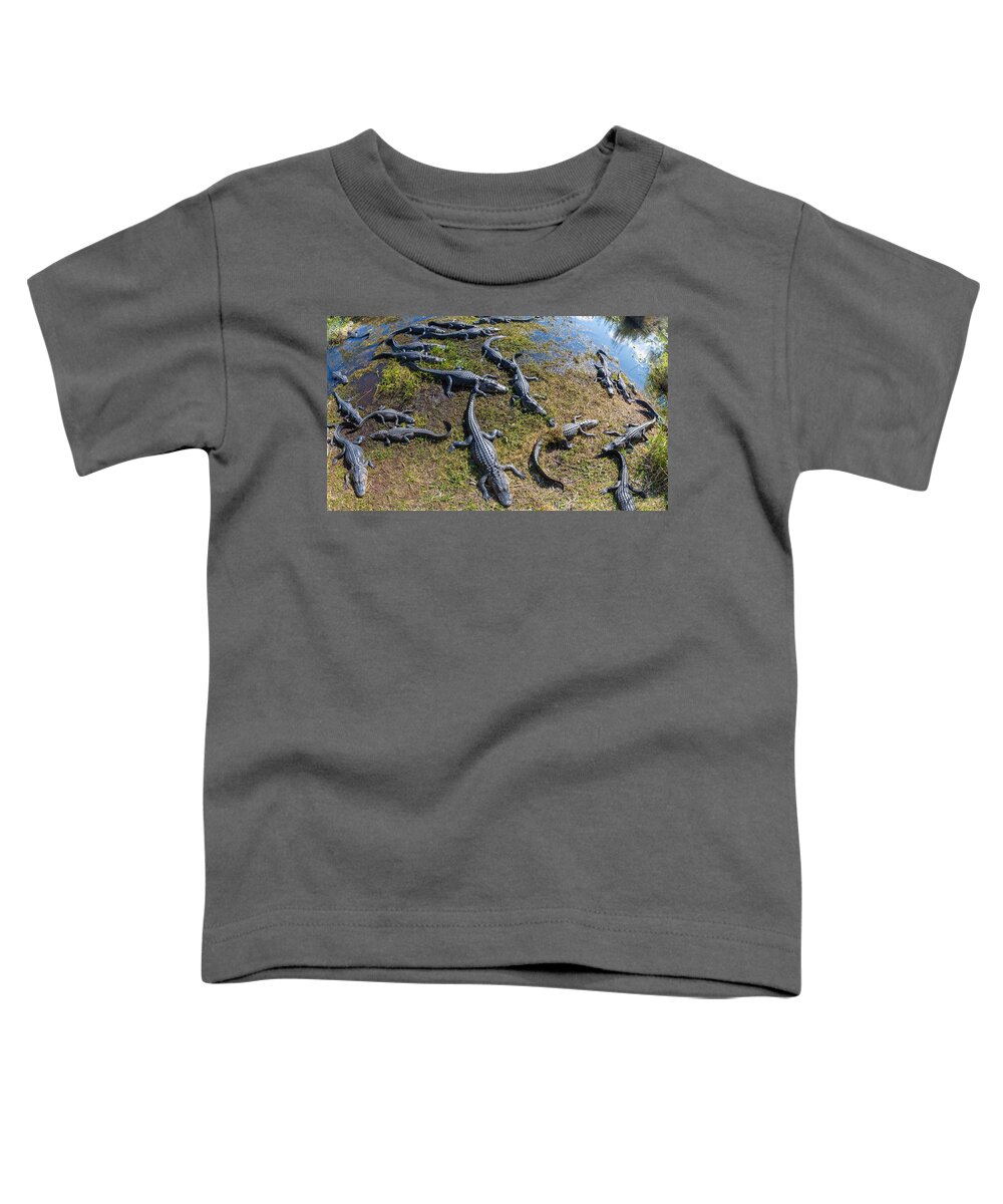 Photography Toddler T-Shirt featuring the photograph Alligators Along The Anhinga Trail by Panoramic Images
