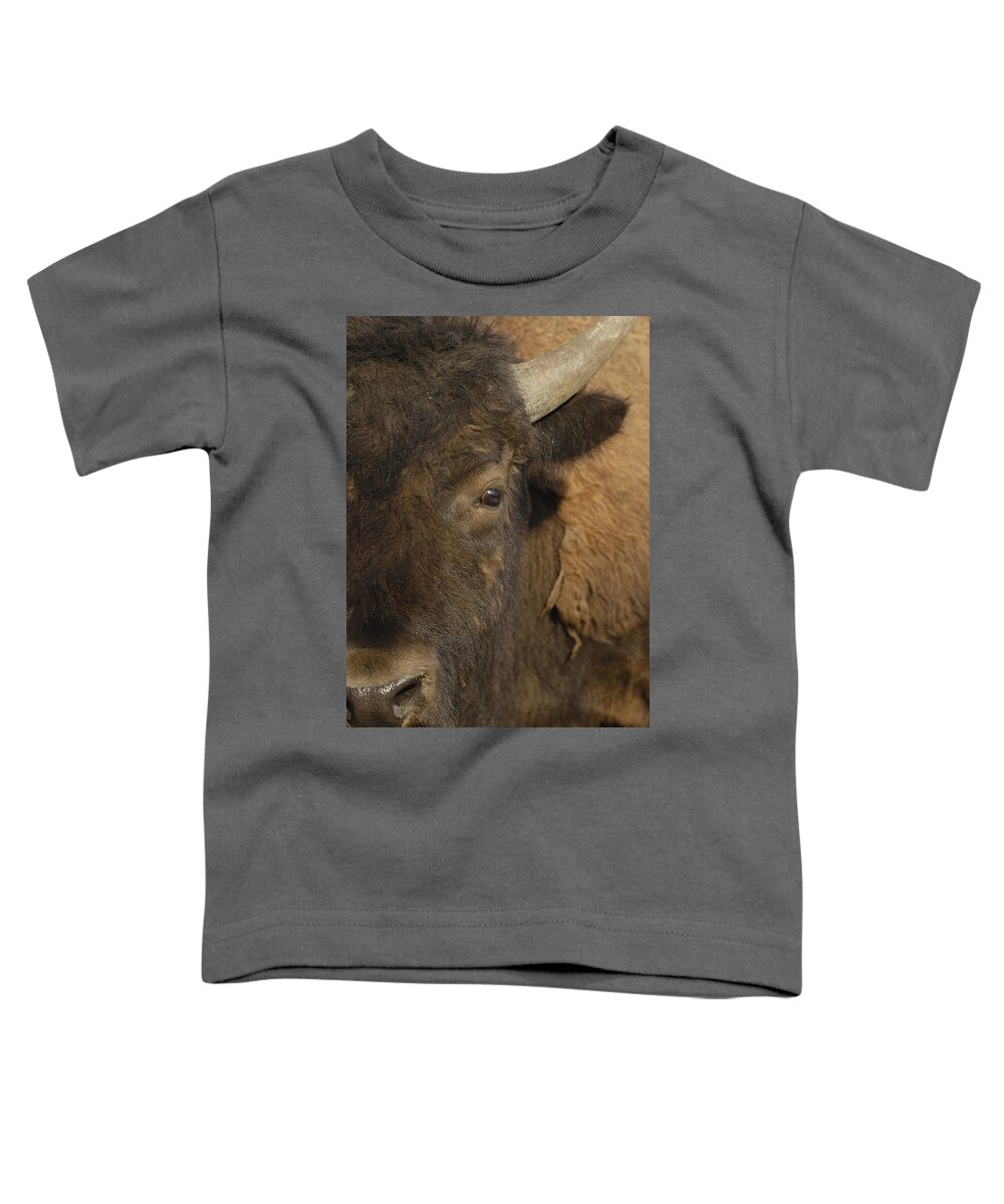 00210812 Toddler T-Shirt featuring the photograph American Bison Male Wyoming by Pete Oxford