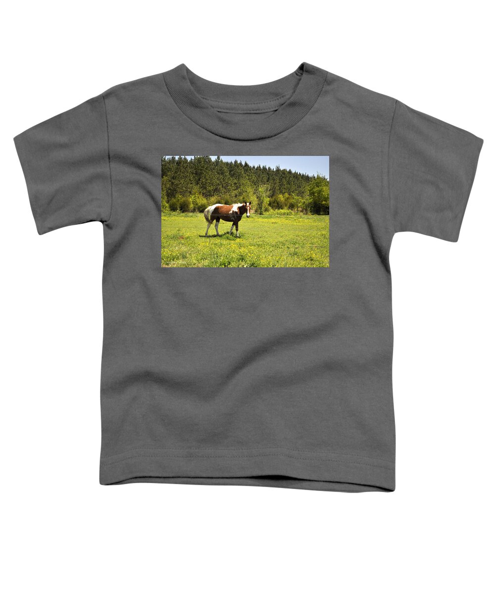 Horse Toddler T-Shirt featuring the photograph An Alabama Horse by Verana Stark